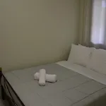 Frygano 1 * Oitilon