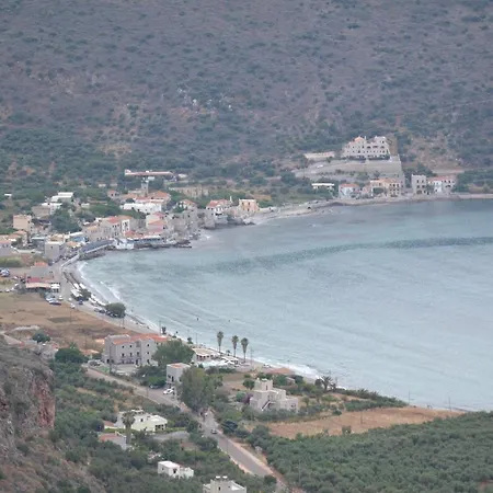 Frygano 1 Oitilon